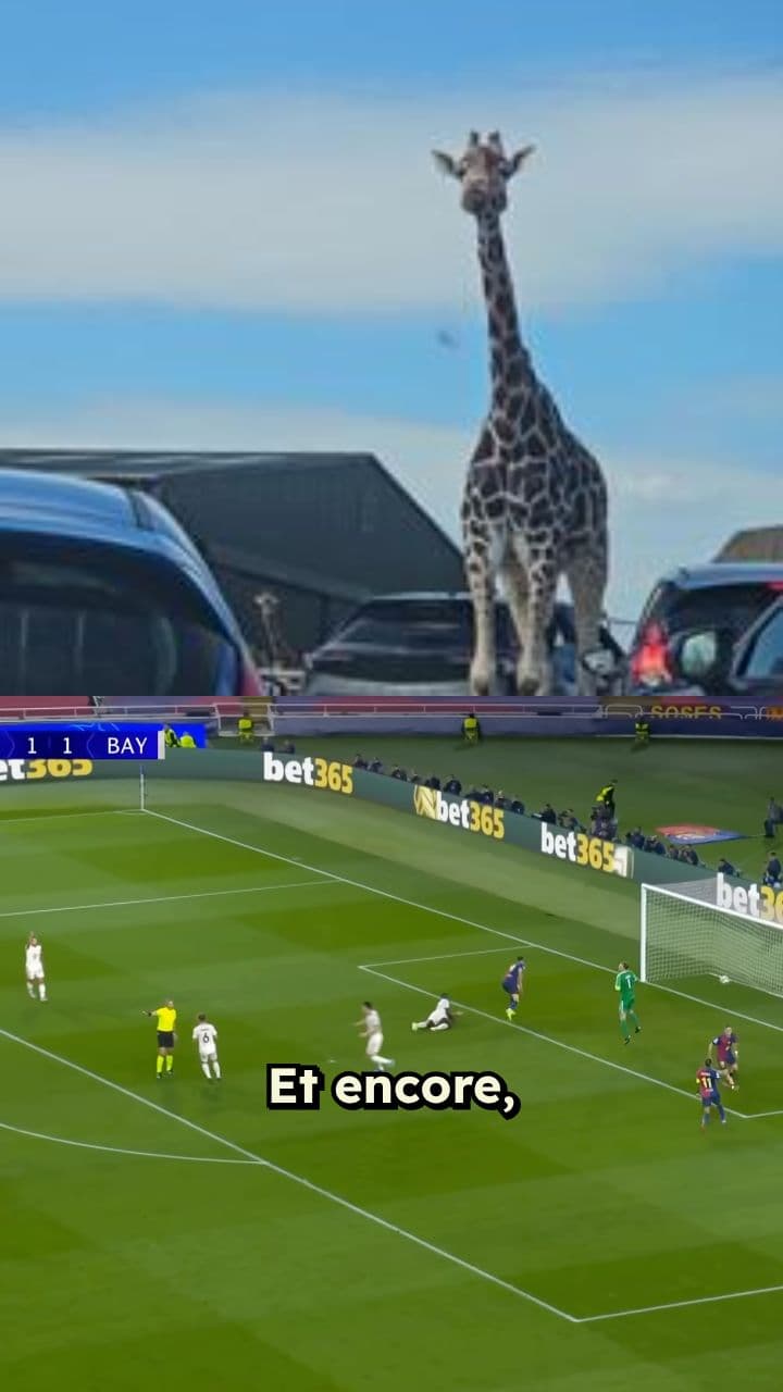 The Captain Leads by Example