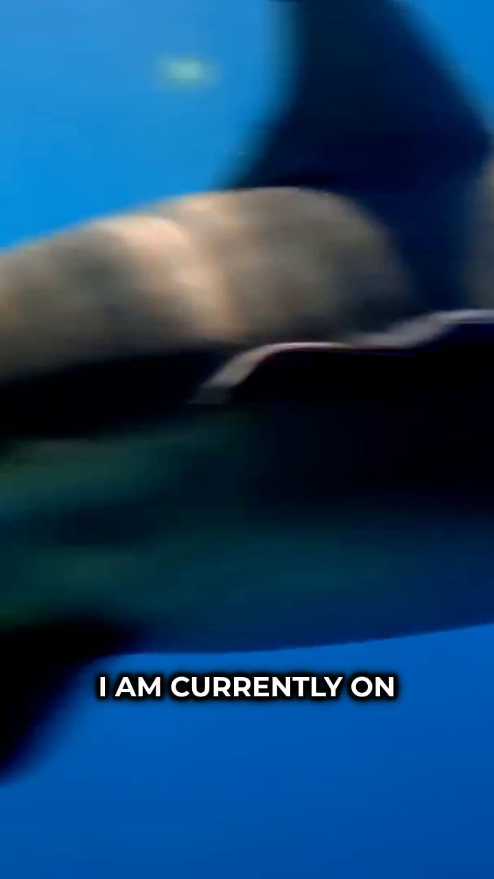 Caged with Deadly Predators