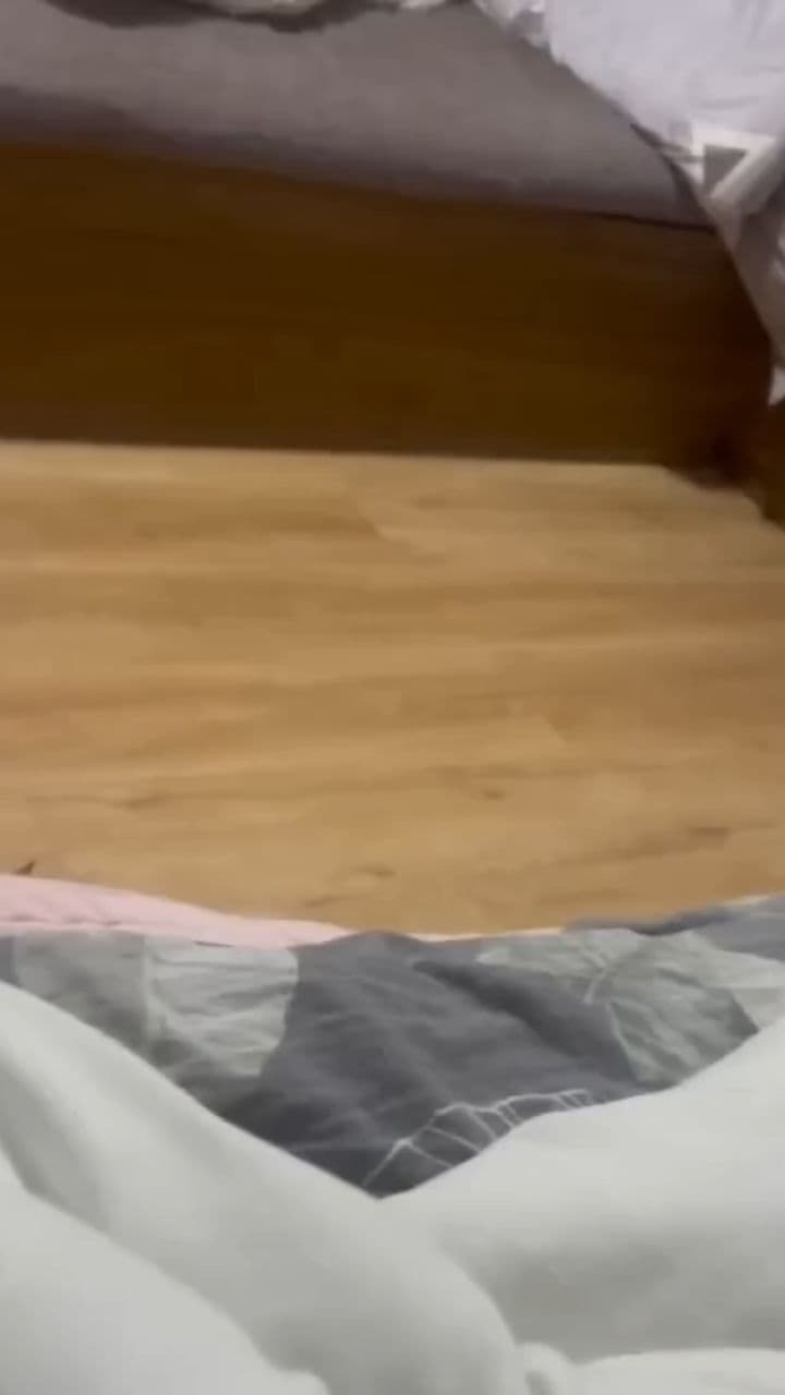 Interesting Highlight Segment 3