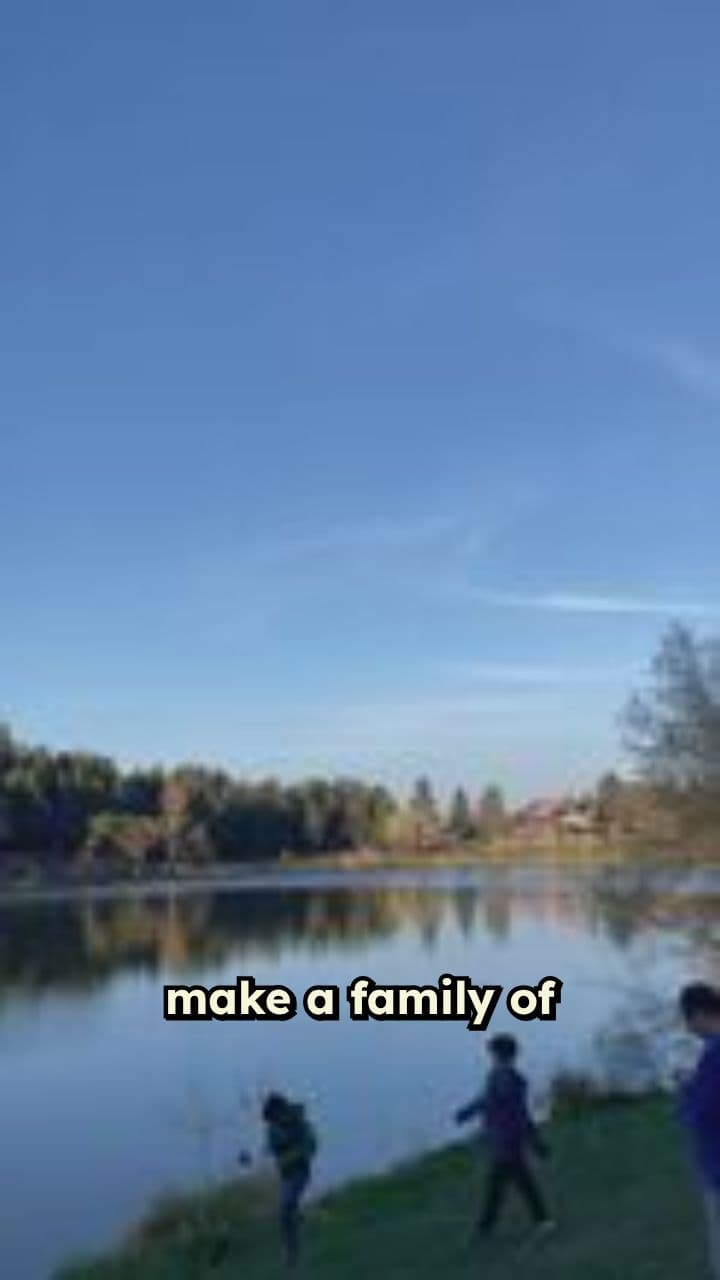 Cat Family's Day at the Pond