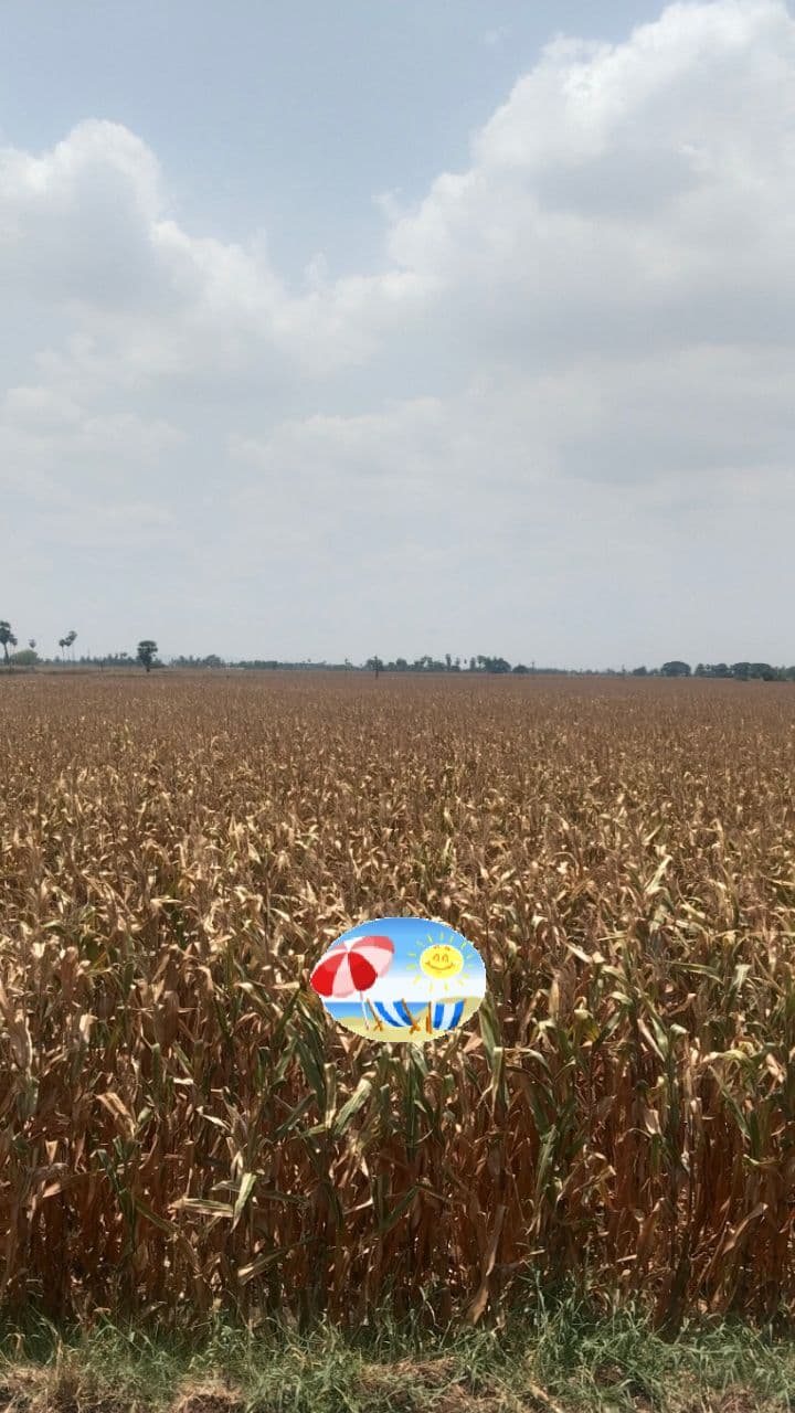 Goodbye to Ourselves in Vizag