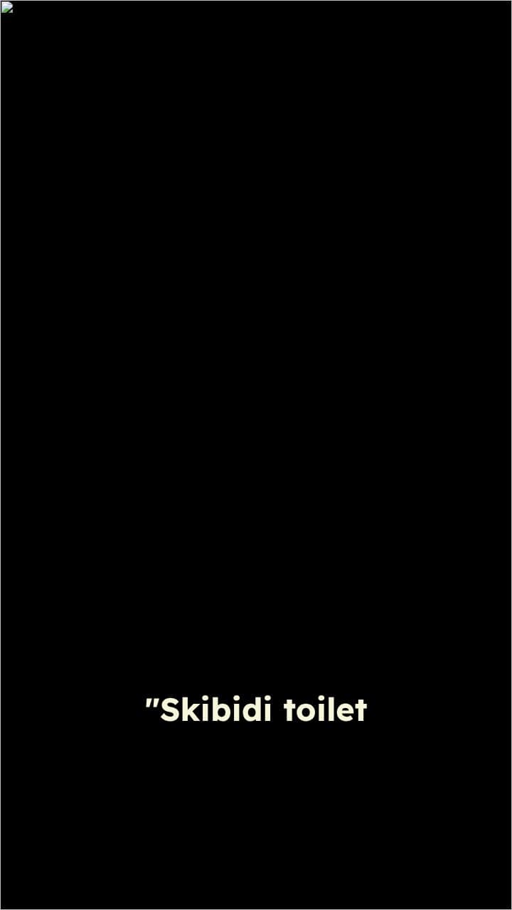 Skibidi Chaos in Ohio