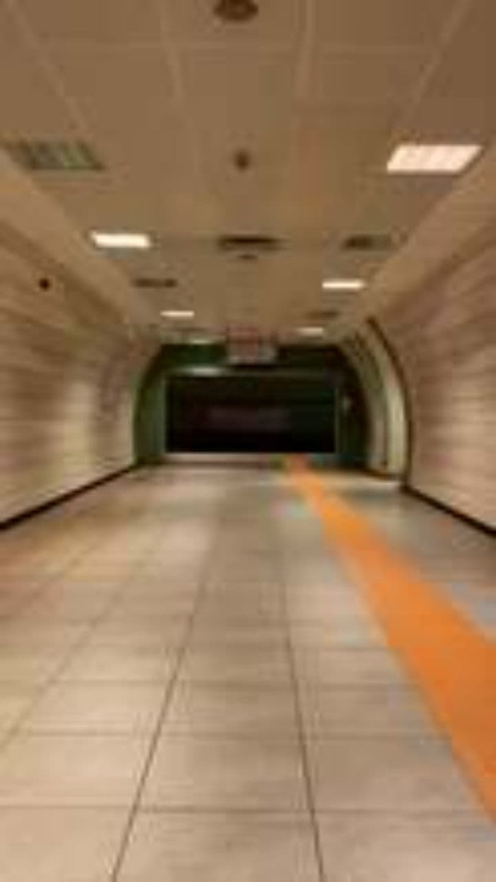 The Flutterfox of the Underground