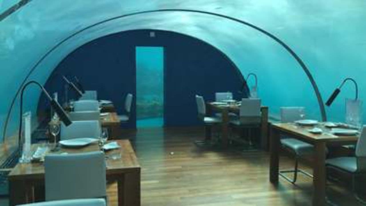 Why Rich Friends Split the Bill