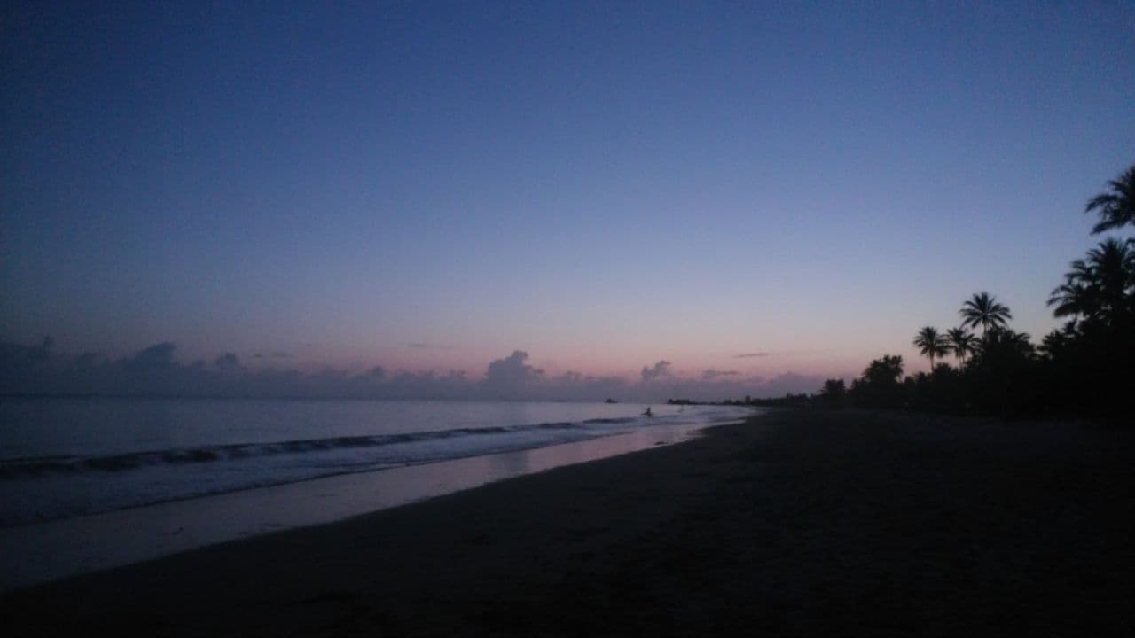 City Lights and Electric Shadows