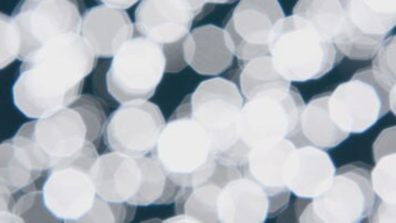 Little Flame, Shining Star