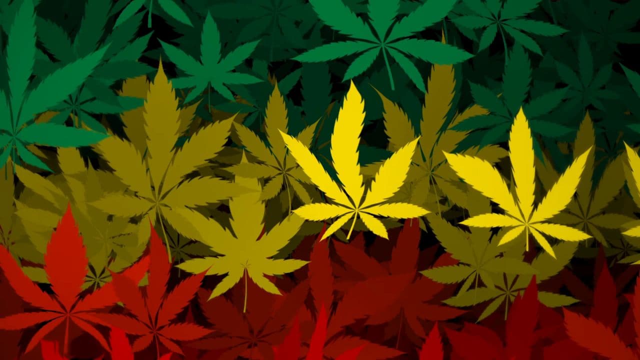 Echoes of a Dream (duplicated)