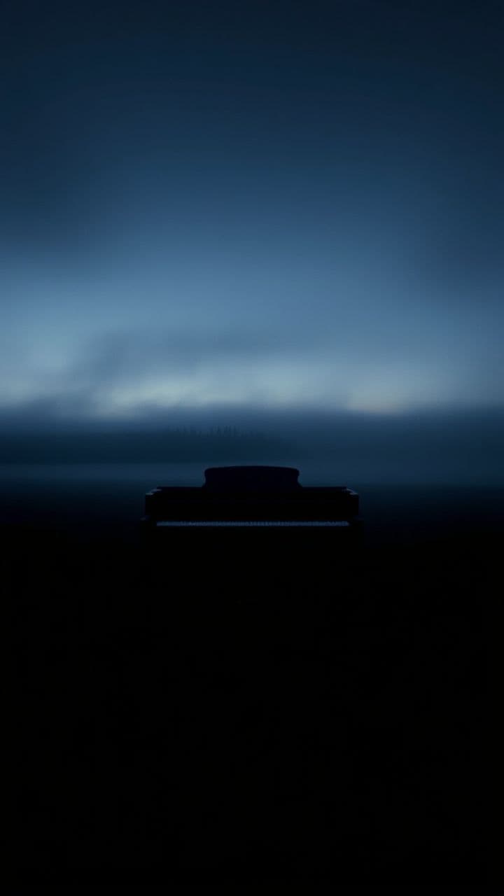 Fly Back to Me, Beautiful Bird