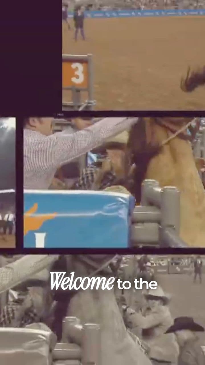 Rodeo Houston: Tradition and Adrenaline
