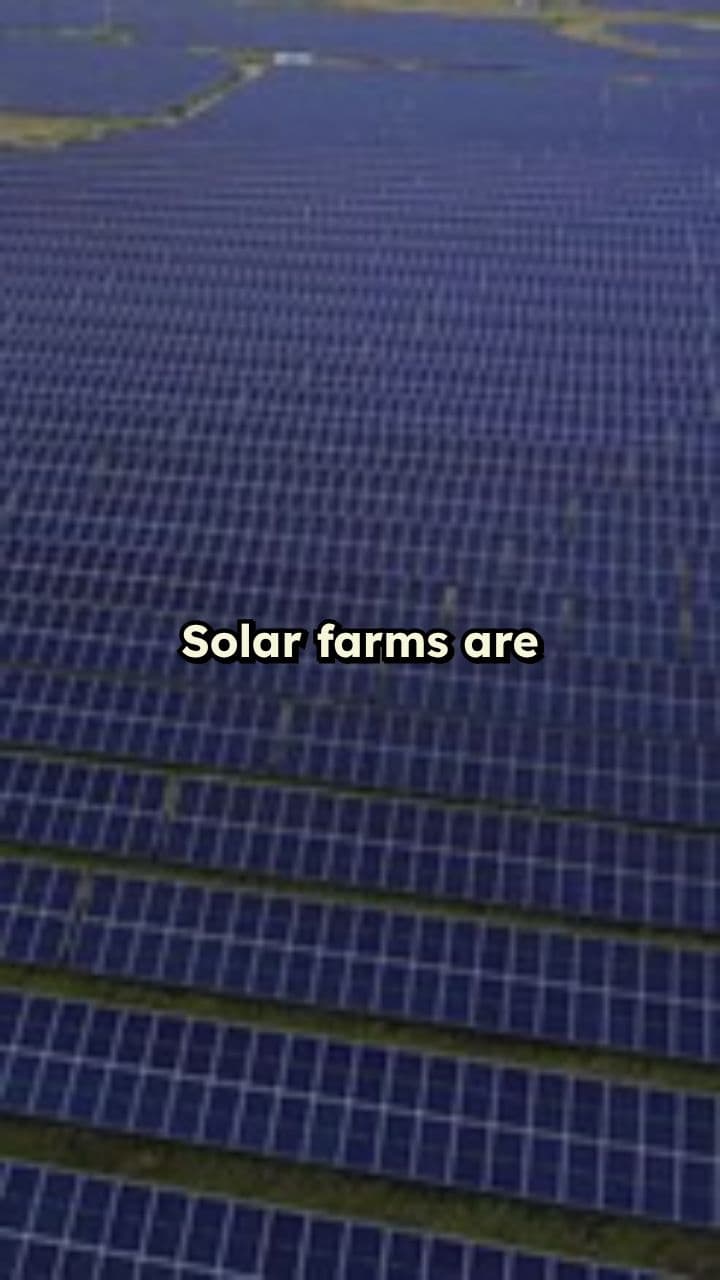 Solar Farm EMF Levels Study