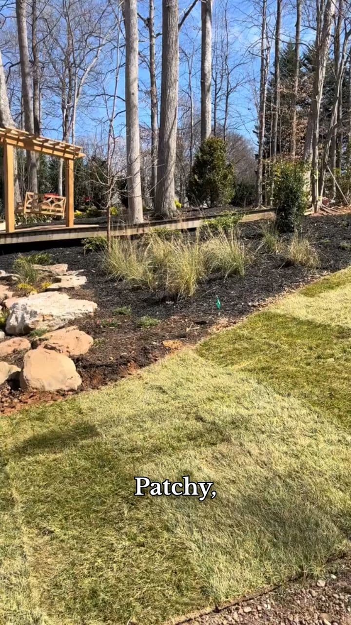 Sod Installation - Instant Yard Transformation
