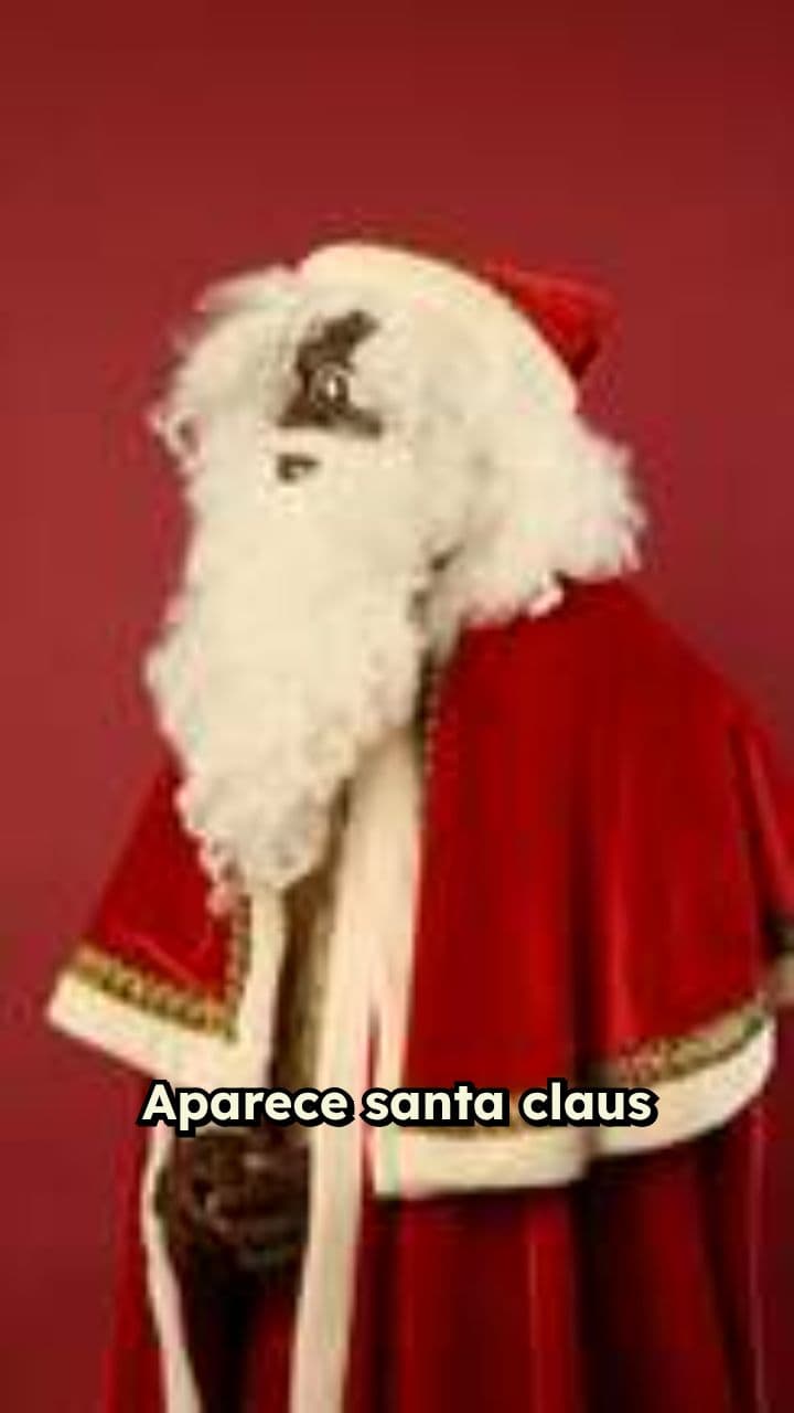 Feliz Navidad de Los Tulipanes