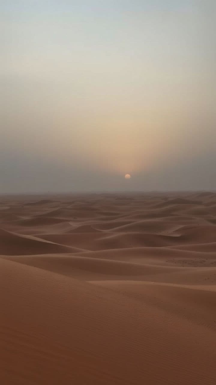 دلتنگی در زمستان