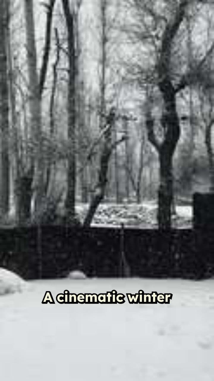 Winter Escape in Algeria