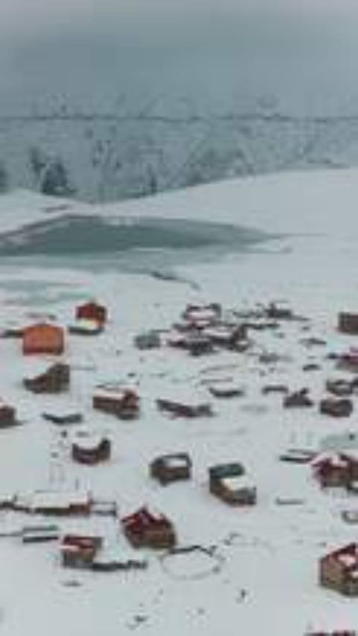 Camilla e la Magia del Natale