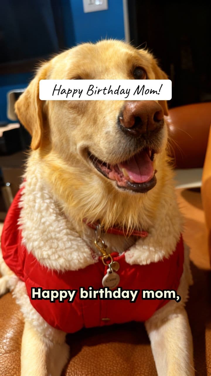 Coco's Heartfelt Birthday Message