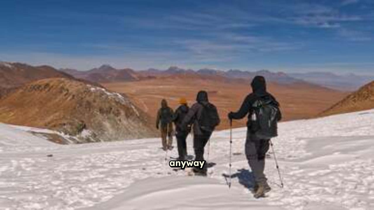 Vocabulary and Meanings Guide