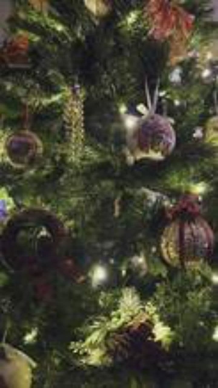 Last Christmas: Safety and Accountability