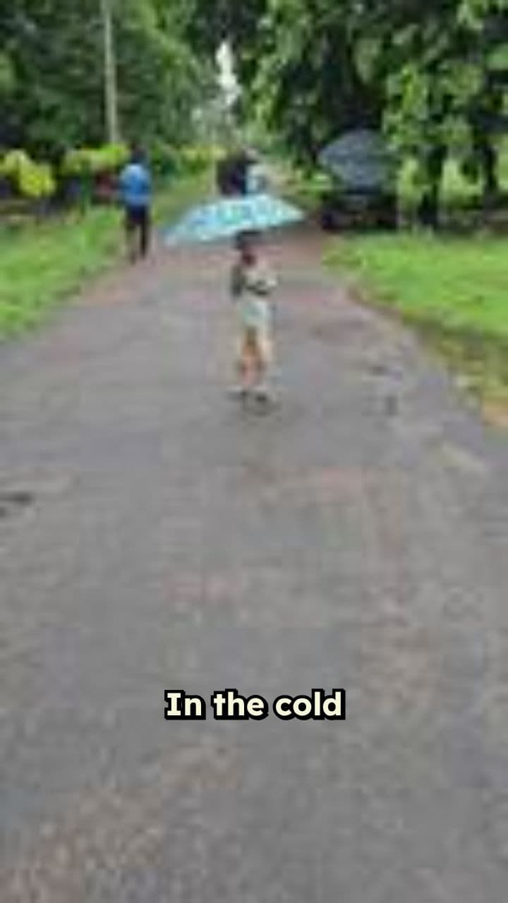 The Awakening of the Shadow