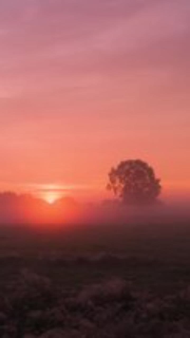 Livin' My Country Ways