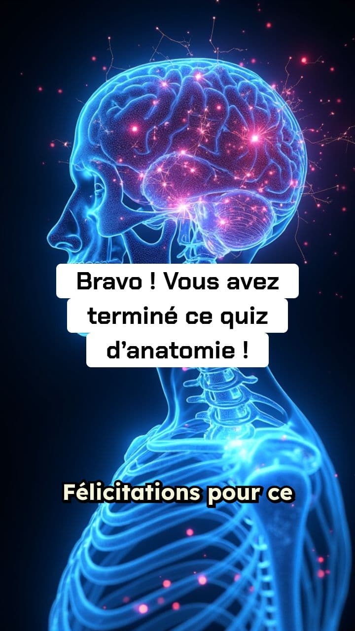Hypoquizz - Fin de Quiz