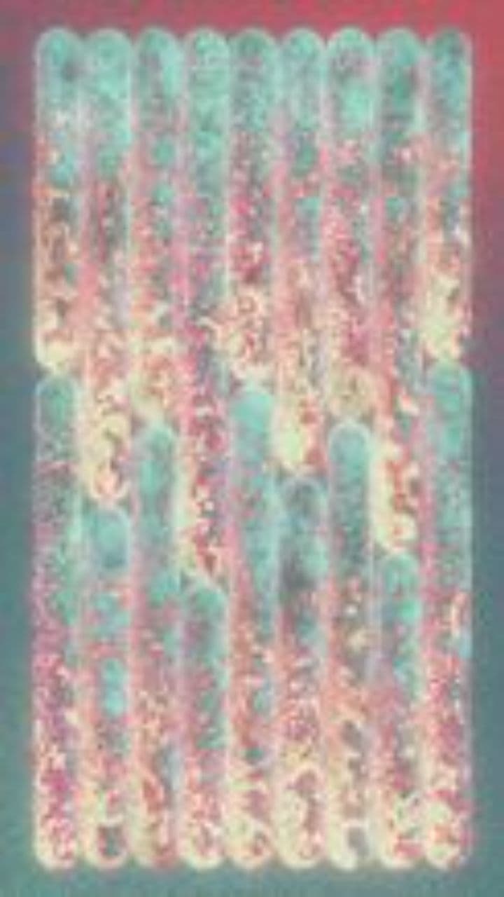 Veridion Digital Happy New Year 2026