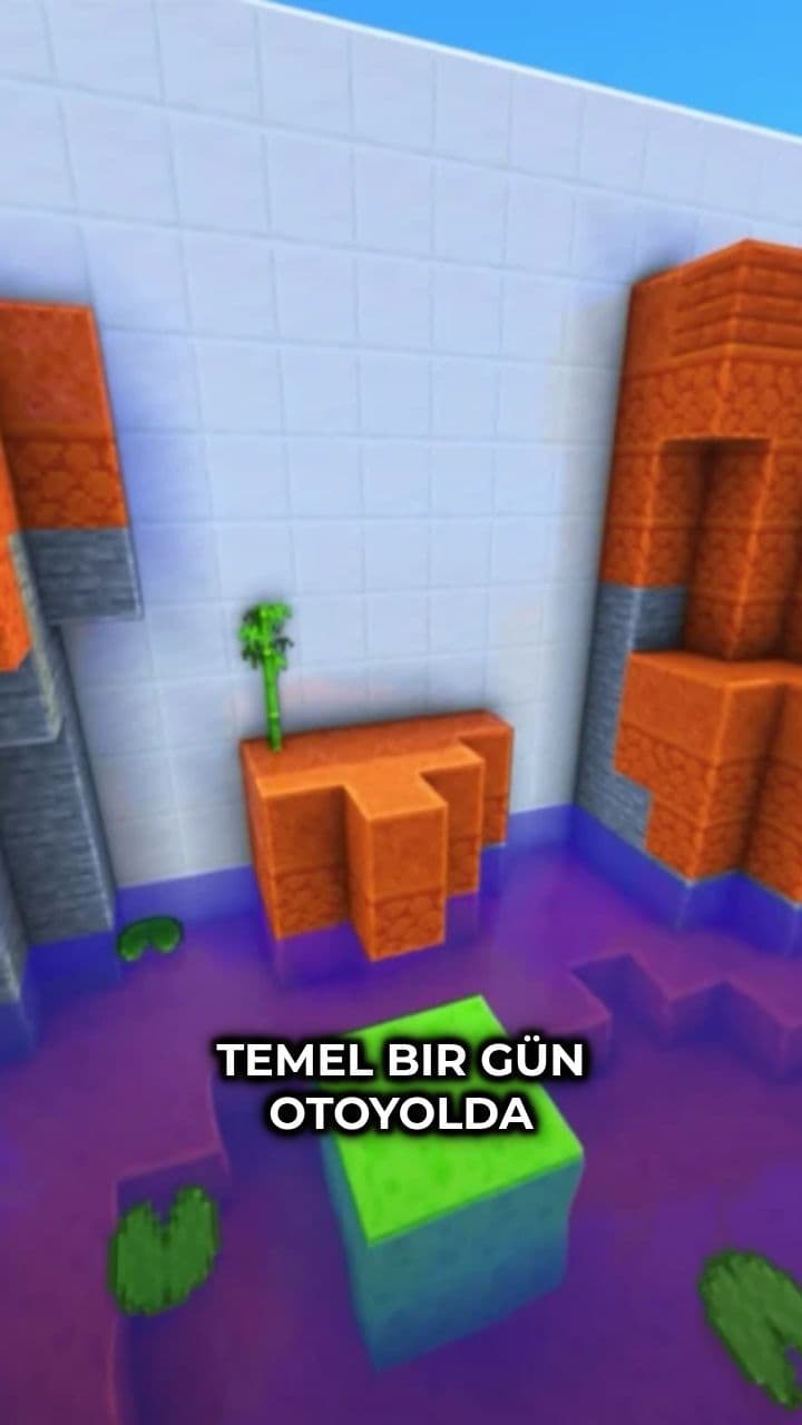 Ters Yolda Giden Araçlar