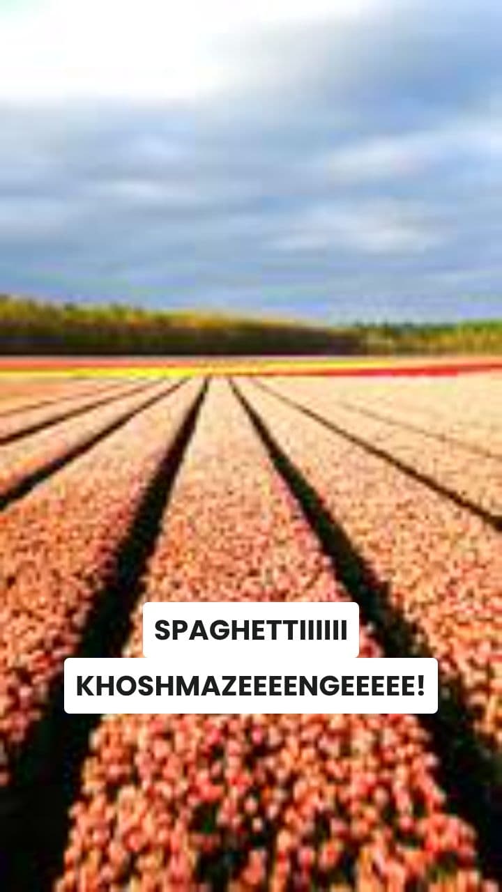 Mussolinitankio: Spaghetti Chaos