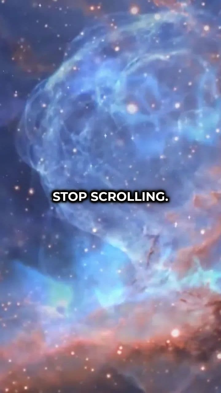 Microwave Your Sponge to Sanitize