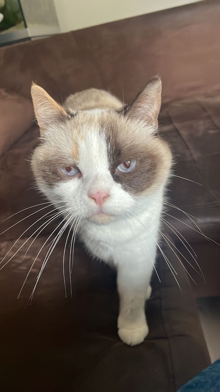 Maja und Kira: Gegensätze in Harmonie