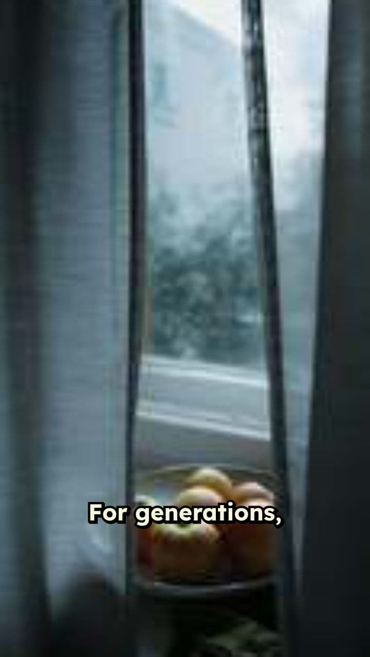 The Power of Apple Cider Vinegar