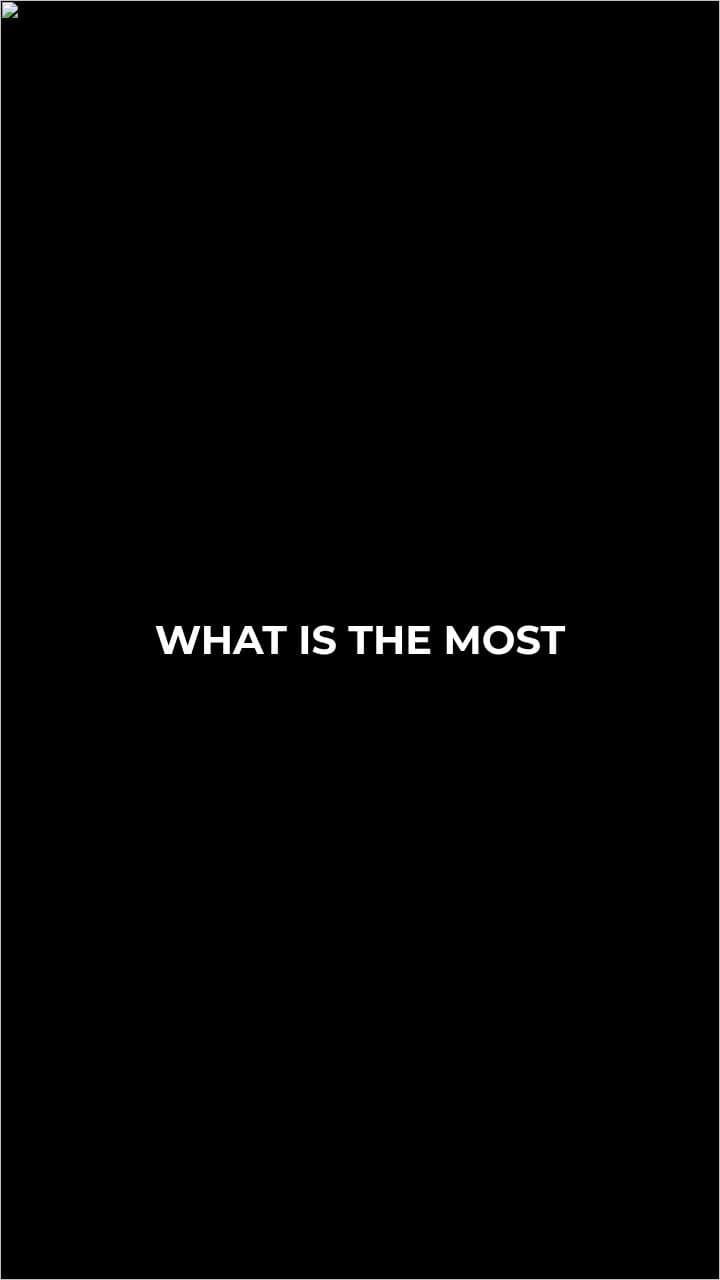 A Last Summer Under the Stars