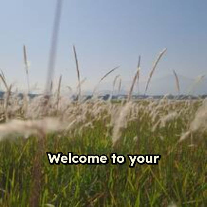 The Heart of Christmas: Jesus Saves