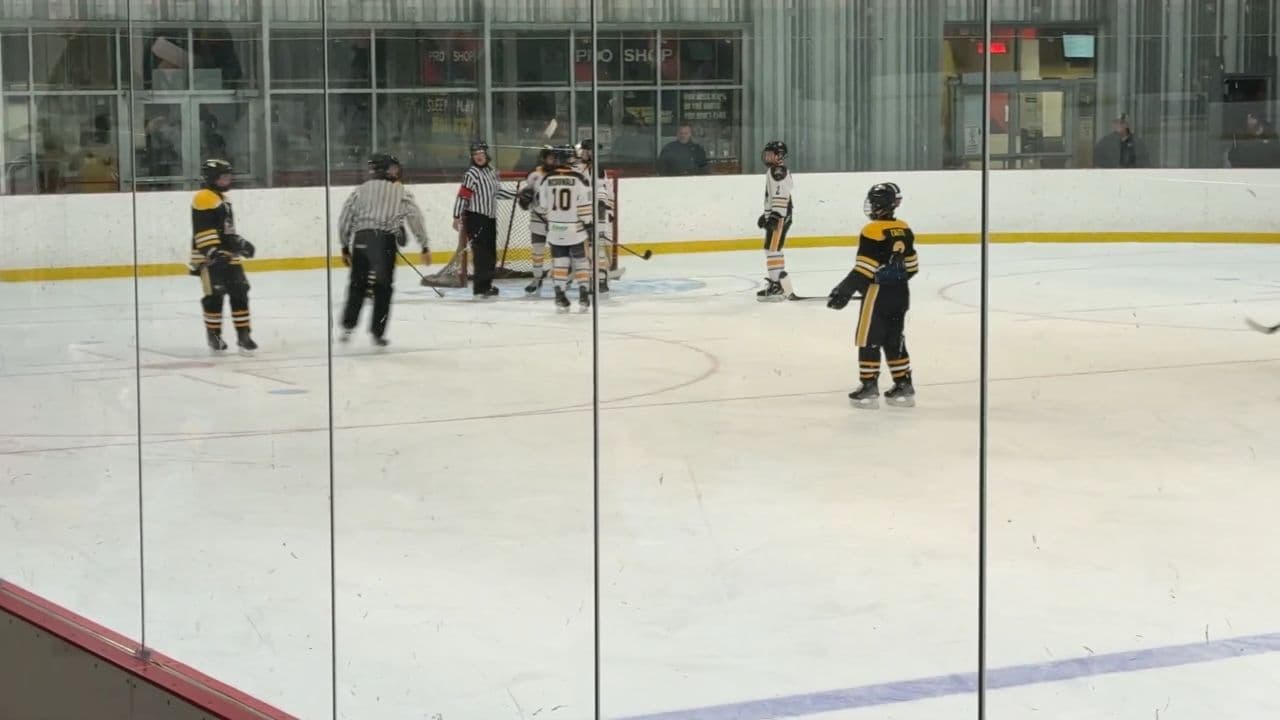 Controversial Whistle After a Save