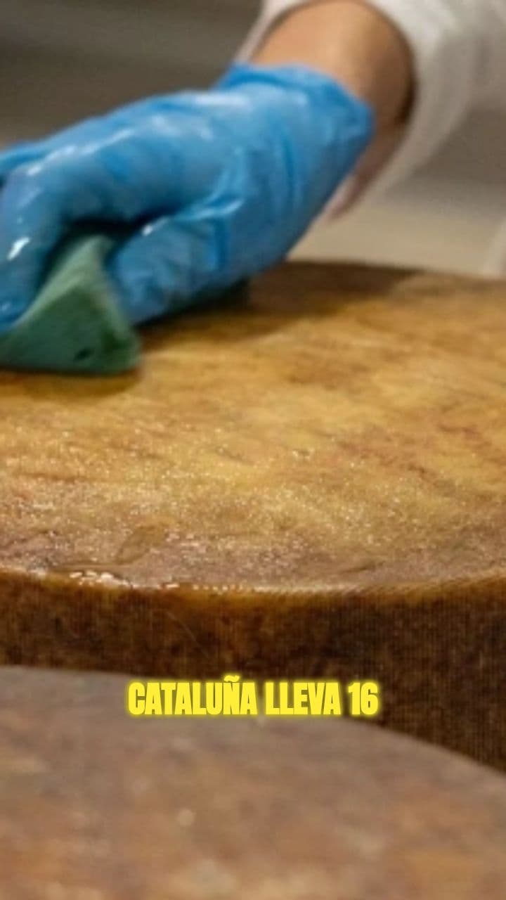 Crisis educativa en Cataluña: incumplimiento y descontento