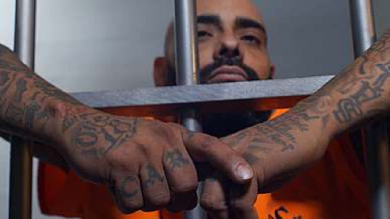 The Weight of Loneliness