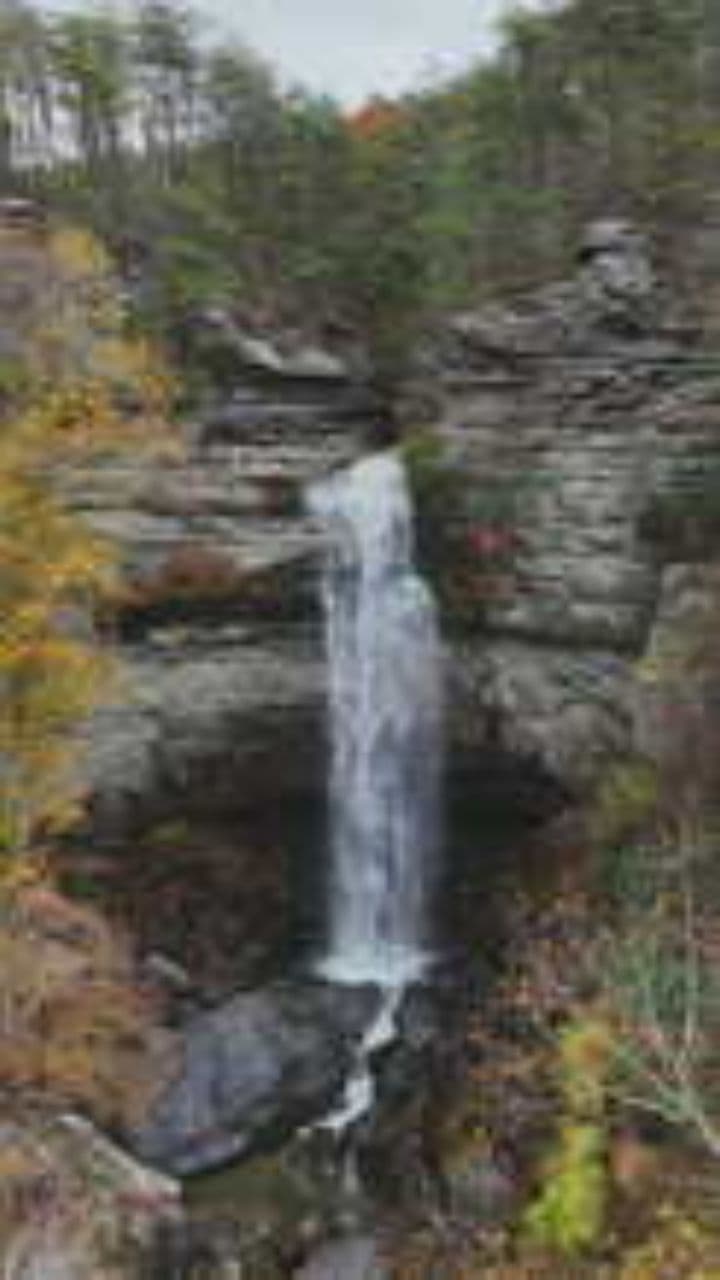 Fool Me Once, Shame on You