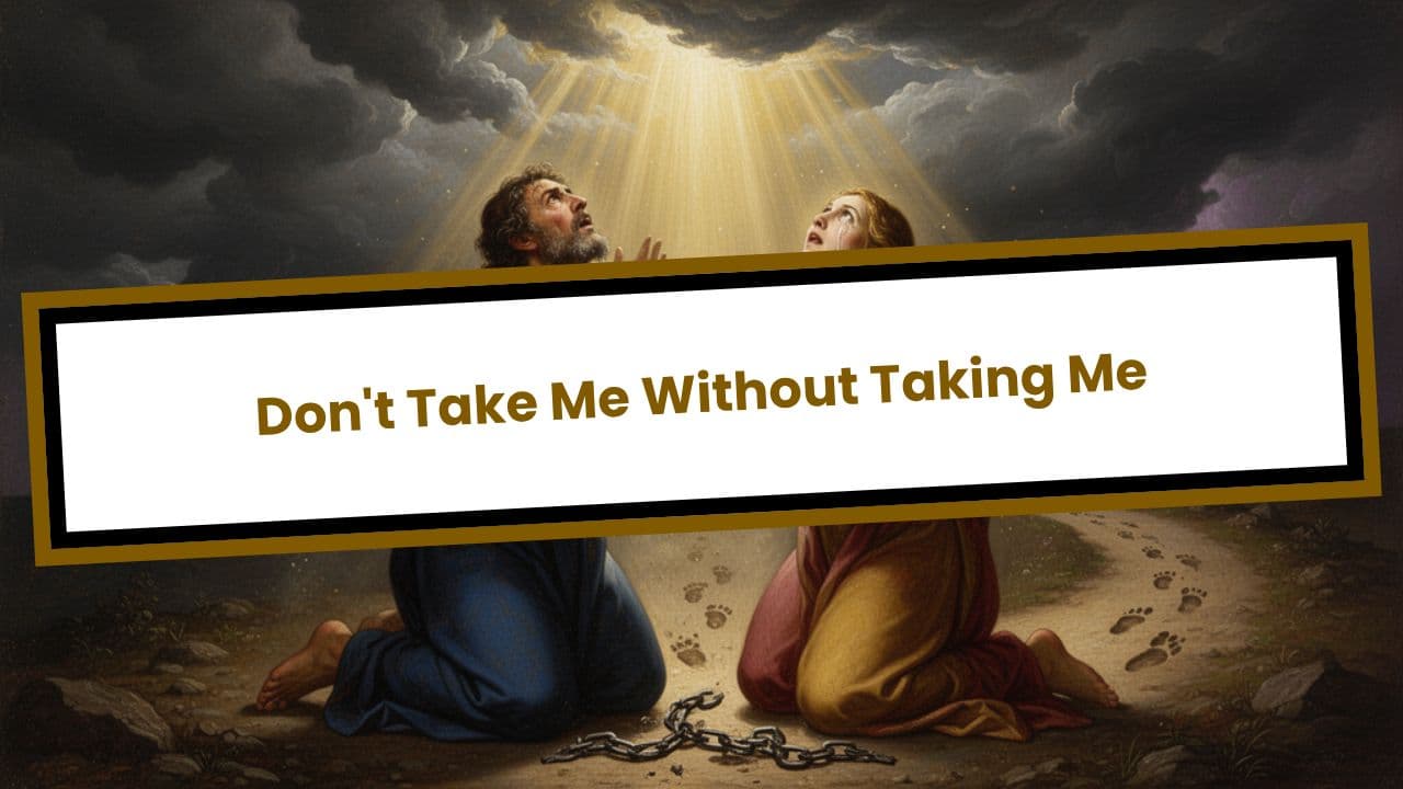 Don't Take Me Without Taking Me