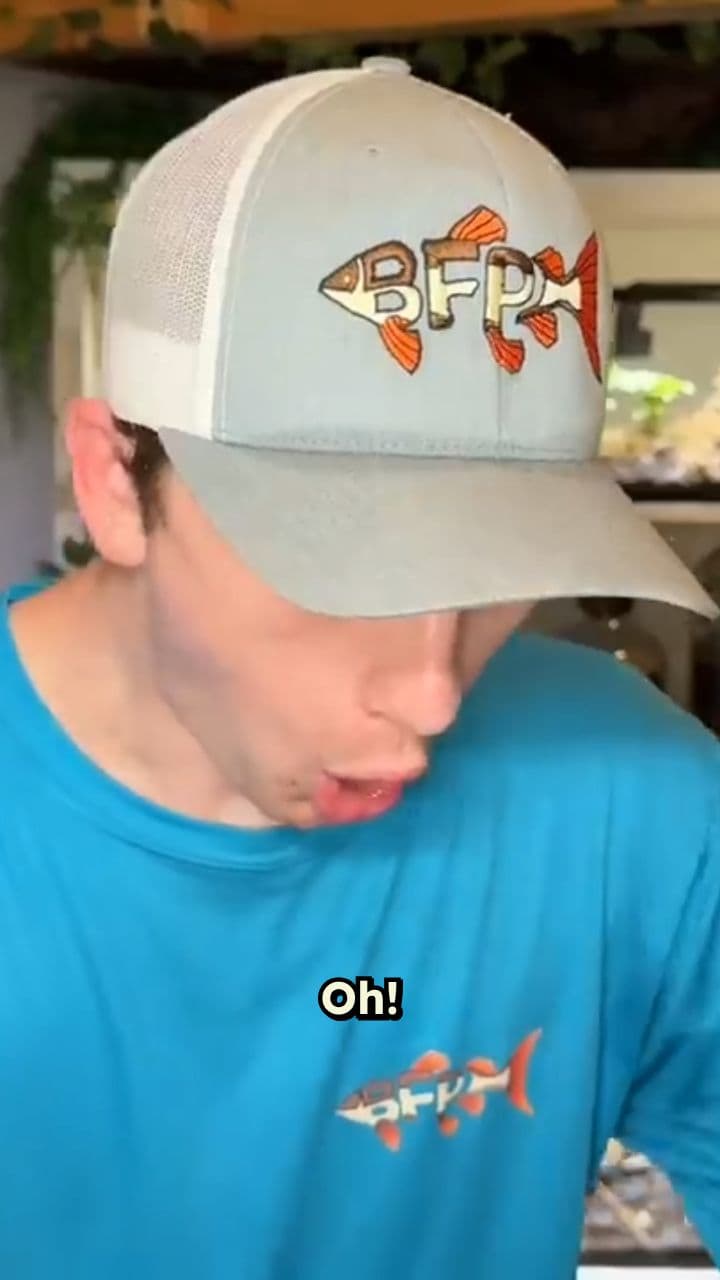 Man-Eating Crab Attacks Me