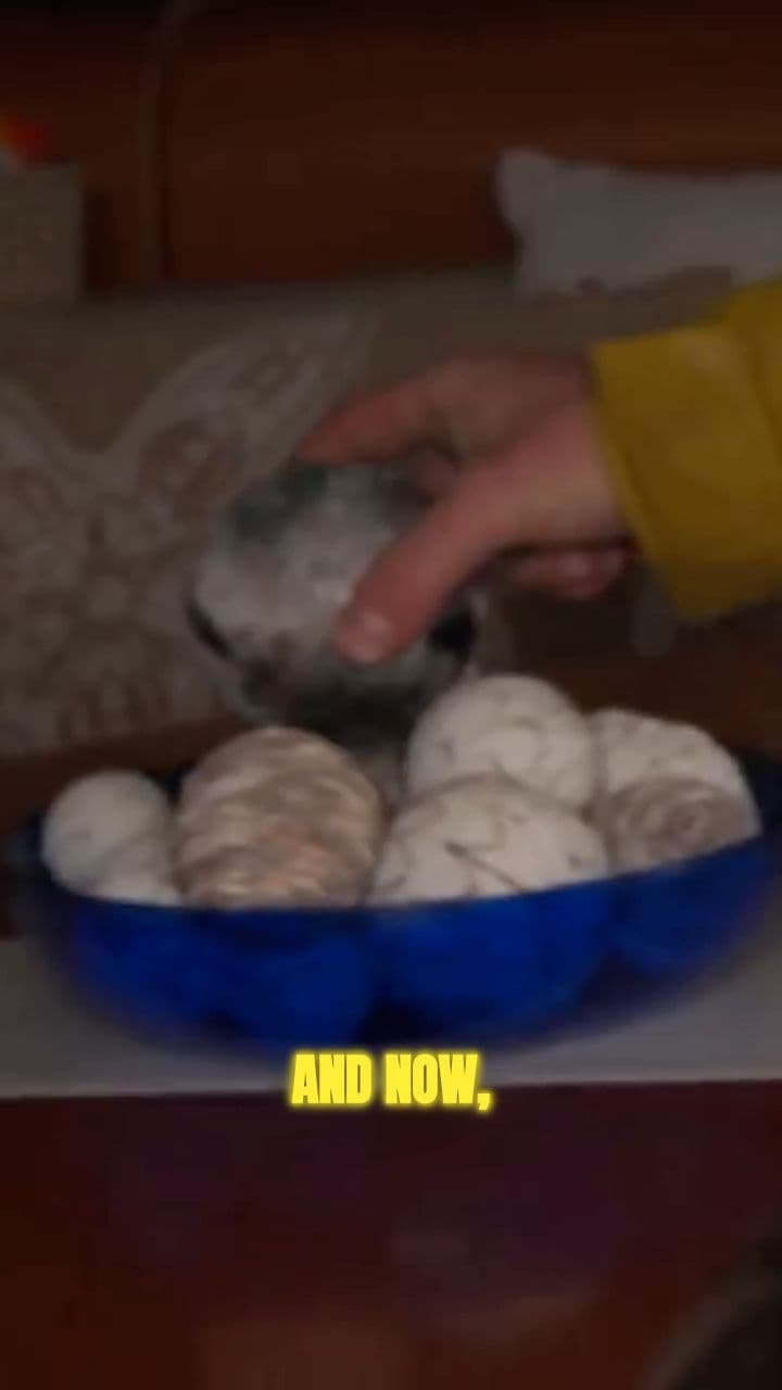 MrBeast & Kevin Hart's New Celebrity Video!