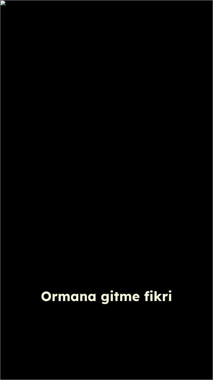 Ormanda Kaybolan Arkadaşlar