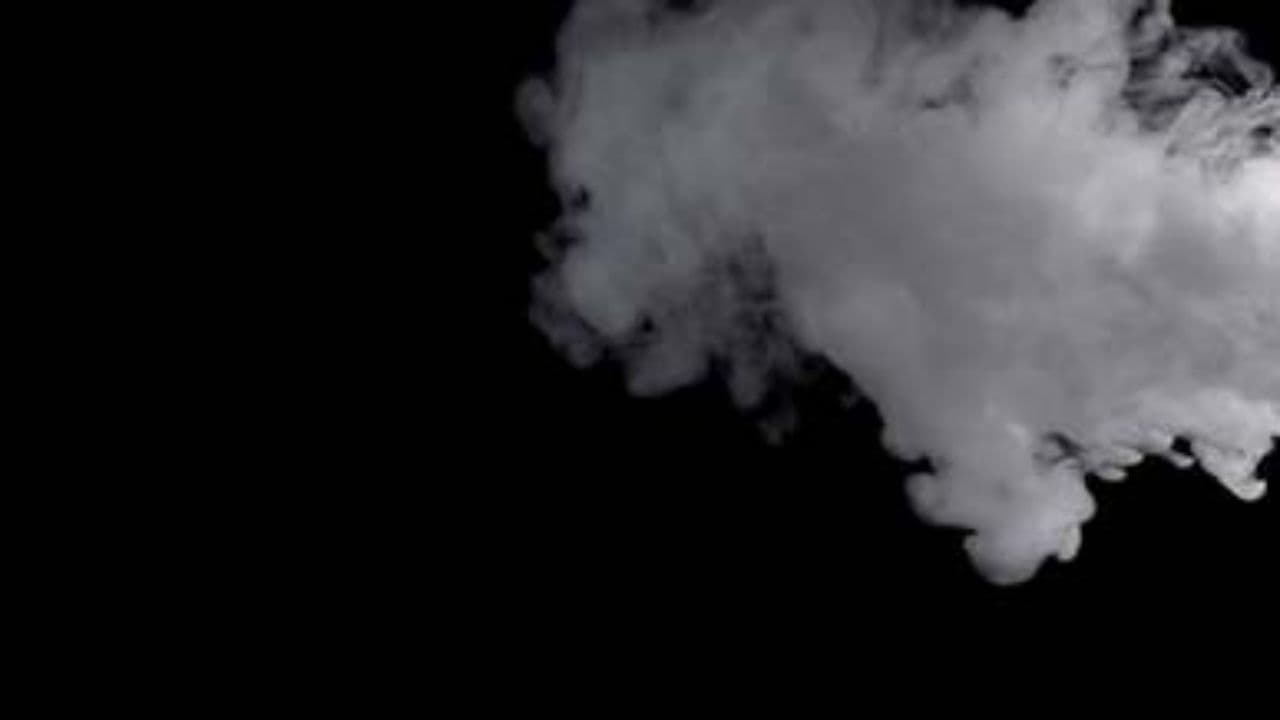 Cicatrices de un amor perdido