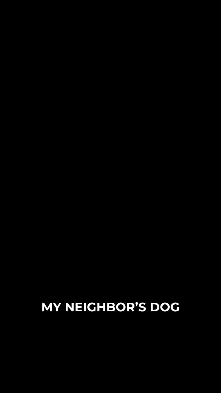 Neighbor's Dog Attacks My Dog