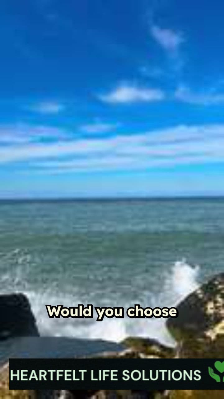 Transparent Farewells with Heartfelt Life Solutions