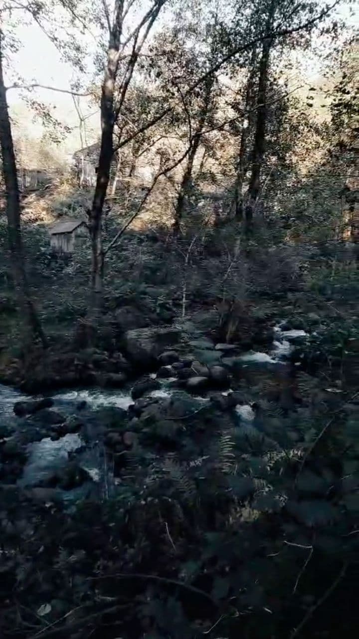 ქარი და ბუნება