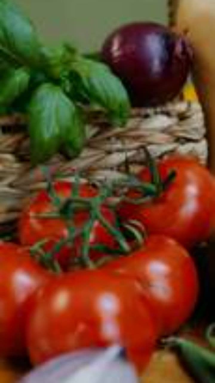 Bon Gourmet Reel Promocional