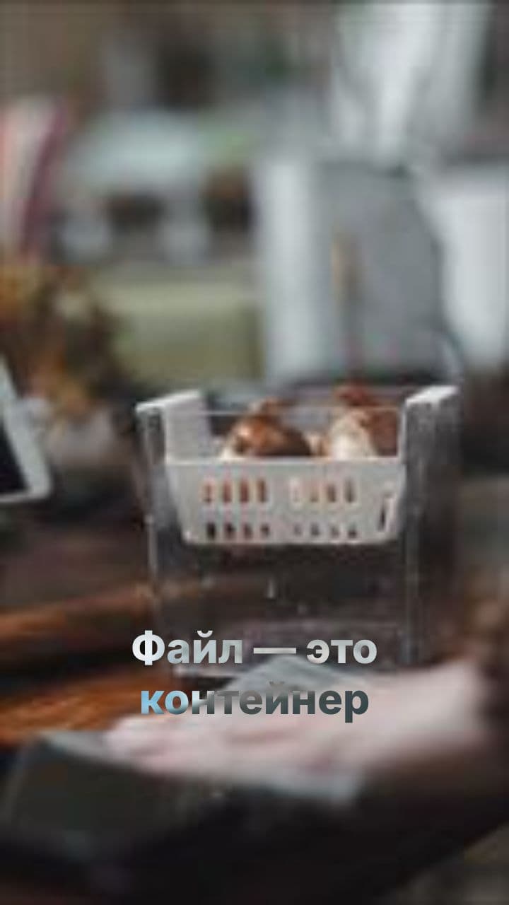 Работа с файлами и потоками в C#