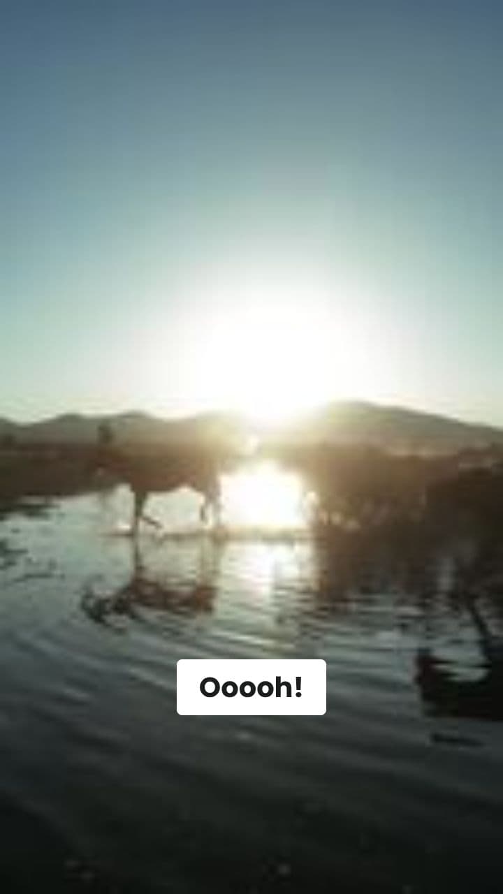 LimoneSettanta nel Deserto Danzante