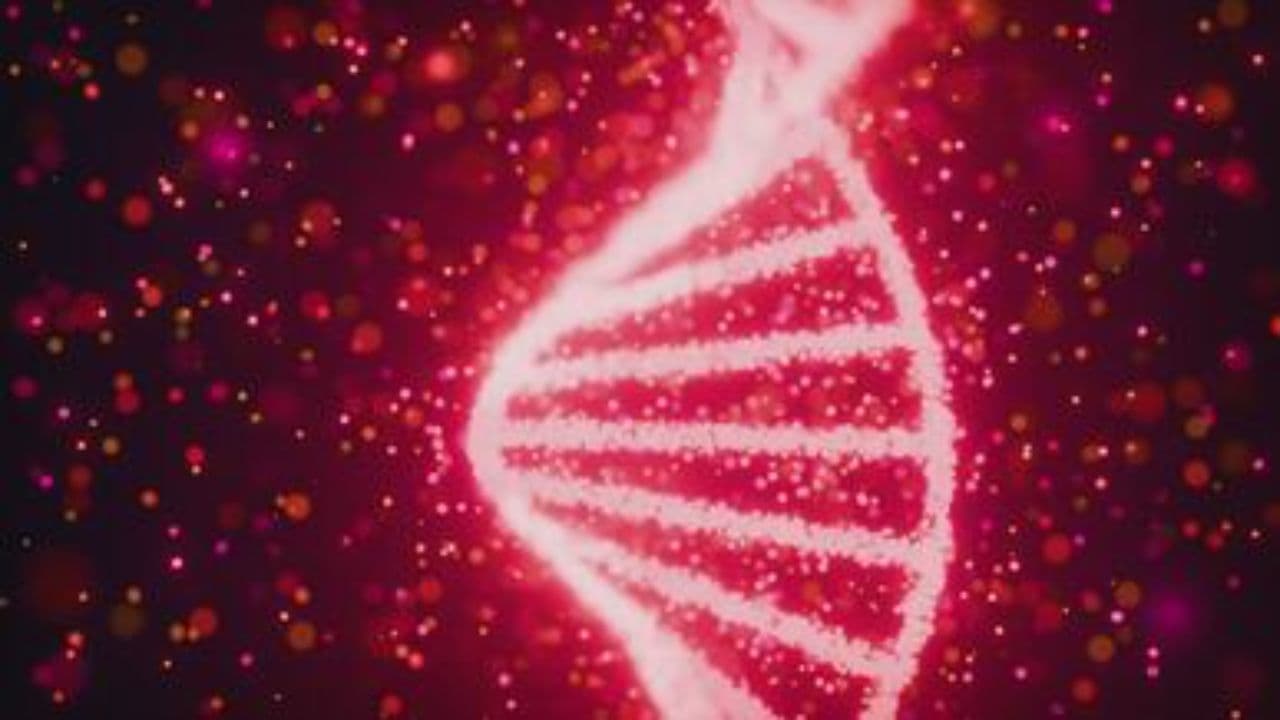 داستان کرم جادویی