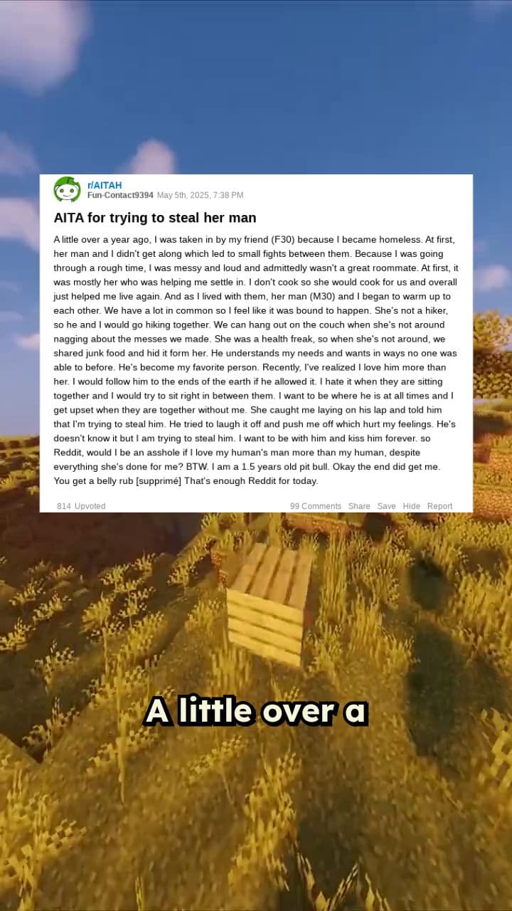 Conflicted Love: A Dog's Dilemma